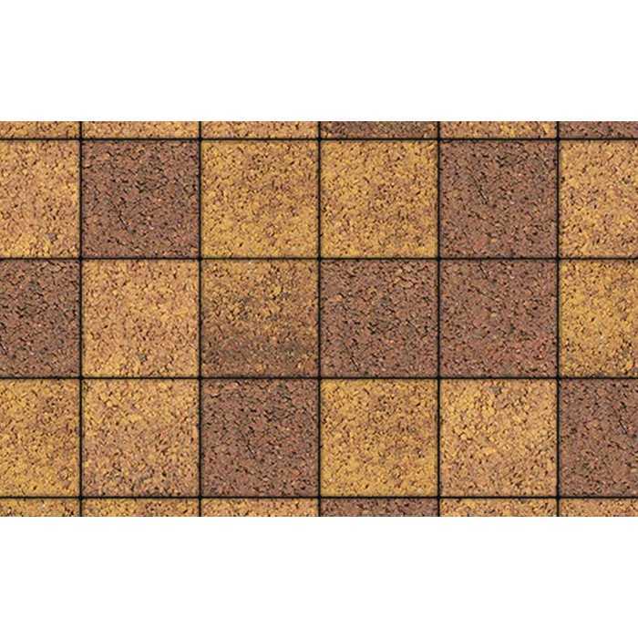 Плитка тротуарная Квадрат (ЛА-Линия) Б.2.К.6 Листопад гладкий Осень 200x200x60 мм